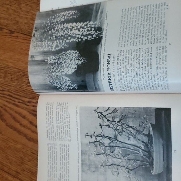 Vtg 1950s Brooklyn Botanic Garden Handbooks - Picture 10 of 16